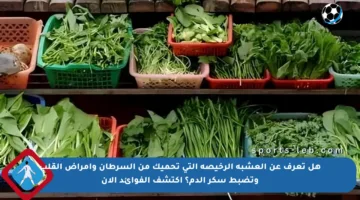 هل تعرف عن العشبة الرخيصة التي تحميك من السرطان وأمراض القلب وتضبط سكر الدم؟ اكتشف الفوائد الآن